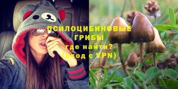 МДПВ Нефтегорск