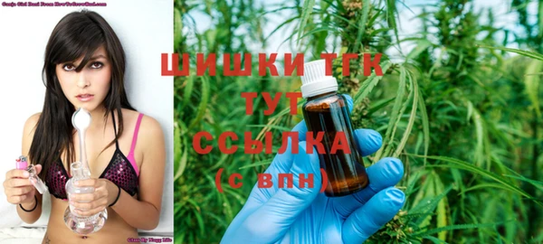 МДПВ Нефтегорск