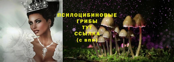 МДПВ Нефтегорск