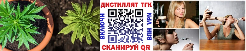 что такое   Шенкурск  дарк нет формула  ТГК THC oil  OMG зеркало 