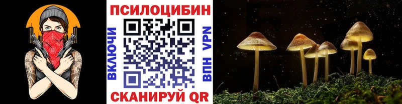 Псилоцибиновые грибы прущие грибы  наркотики  Шенкурск 